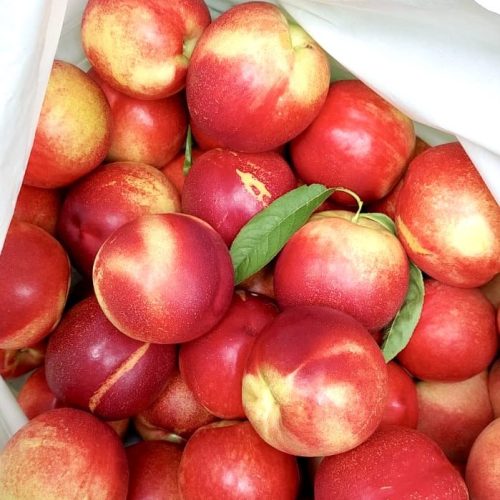 nectarines_heart health,paediatric nutrition TABS